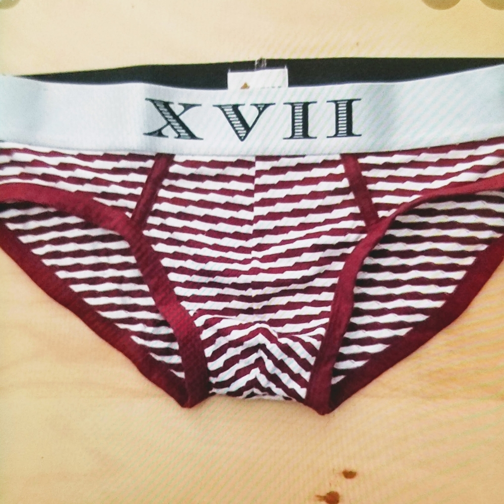 Men medium striped brief
